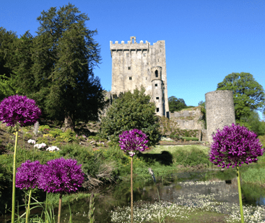 blarney castle visit